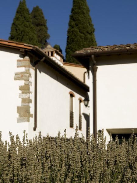 vendita-agriturismo-chianti-firenze-25